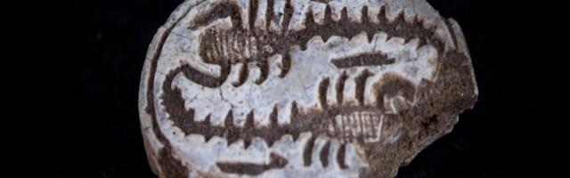 12-Year-Old Girl Discovers 3,500-Year-Old Egyptian Amulet While Hiking