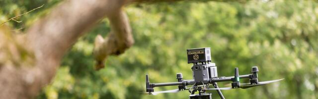 Human brain-based AI startup raises £6m