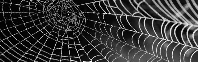 Why Web2 and Web3 Need to Find Common Ground 