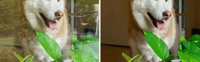 Adobe now has a tool to get rid of ugly window reflections in photos