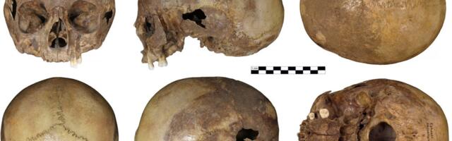 Skull Linked to Cleopatra’s Half-Sister Is Not What It Seems