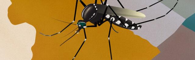 The US is on the verge of a mosquito-borne disease crisis