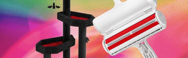 33 Best Gifts for Cat Lovers (2025)