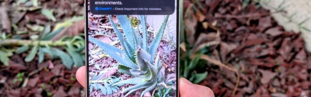 How to use Visual Intelligence on your iPhone with iOS 18.2