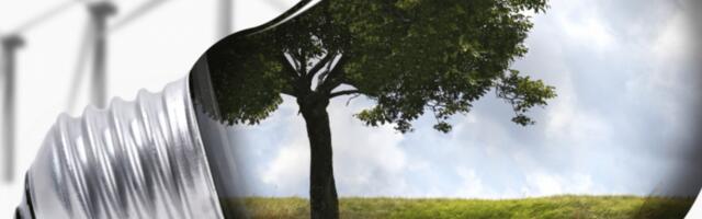 DPIIT Partners GEAPP To Boost Climate Tech Startups