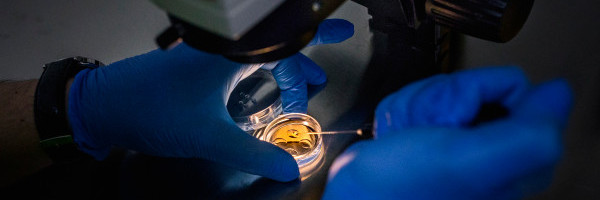 US Fertility says patient data was stolen in a ransomware attack