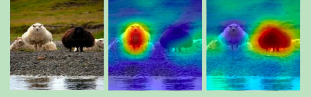 Deep learning models DON’T need to be black boxes — here’s how