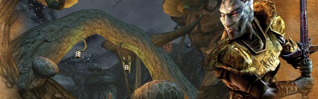 Ever wanted to play The Elder Scrolls: Morrowind on a dual-screen handheld? Well, now you can - if you don't mind putting in some legwork