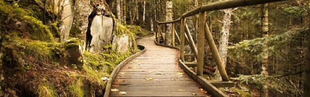Rest leads to Creativity – Hard work leads to ill-health