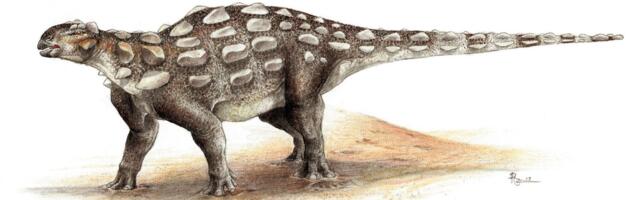 Paleontologists Uncover First Known Tracks From Club-Tailed Armored Dinosaur