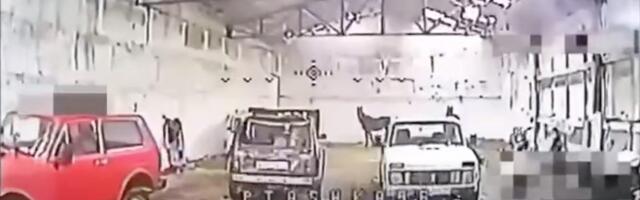 A Ukrainian drone pilot found a hidden Russian arsenal, only to discover it was filled with horses and old cars