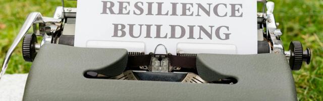 Why the calmest person in the room is often the one who has already survived the thing everyone else is afraid of