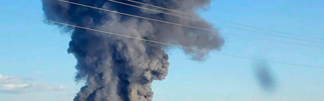 A fire killed 18,000 cows in Texas. It’s a horrifyingly normal disaster.