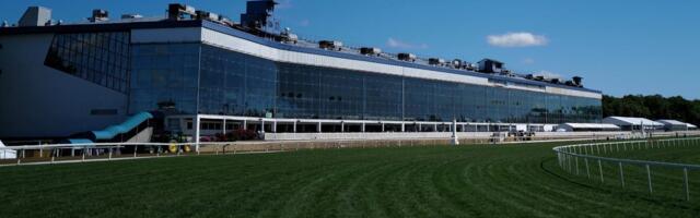 Preakness Stakes 2026: How to Watch This Year's Race Without Cable