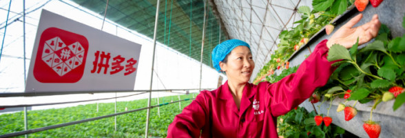 Pinduoduo steals Alibaba’s crown with 788M annual active users