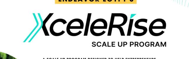 Endeavor launches scale-up programme for Egyptian sustainability ventures