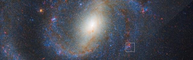 For the first time, Webb catches the before and after of a supernova
