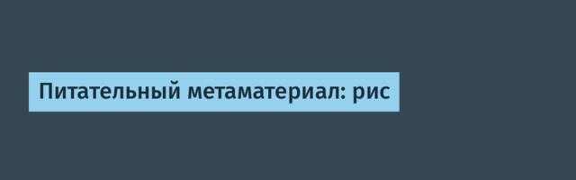 Питательный метаматериал: рис