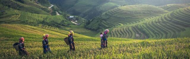 Asian Travelers Are Confused By Sustainable Travel: That’s an Industry Problem