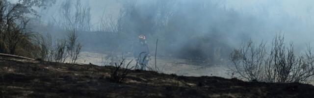 Wildfires create smoke clouds that hold heat and warm the earth, researchers say