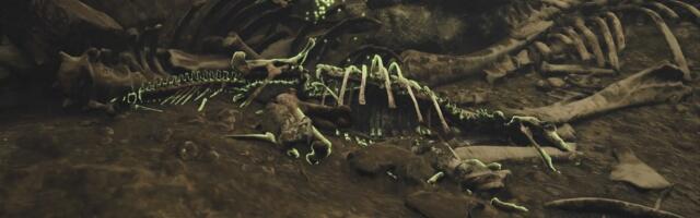 Where to get Mystery Bones in Monster Hunter Wilds