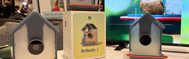 Birdbuddy's new smart bird feeder can ID birds by their songs