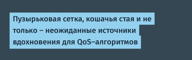 Пузырьковая сетка, кошачья стая и не только — неожиданные источники вдохновения для QoS-алгоритмов