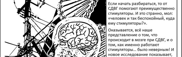 [Перевод] Мозг. Концентрация внимания. Препараты от СДВГ действуют не так, как предполагалось