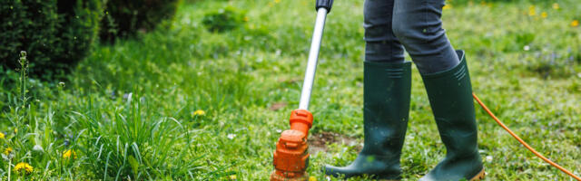 What's The Average Lifespan Of A Weed Eater Engine?