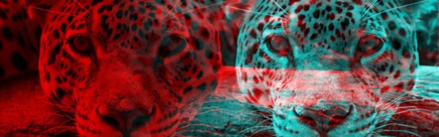 This insurtech alleges its venture backer founded and funded a copycat: a founder’s “nightmare”