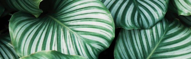 Why VCs should care about measuring ESG