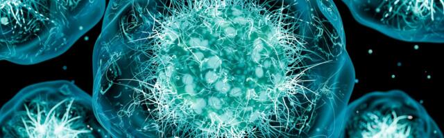 Cyclospora parasite outbreak: Symptoms, how to check cases in your area online