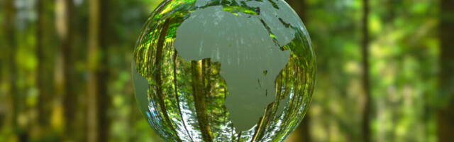 Klarna To Match Consumer Donations Towards Planet Health Causes This Earth Week