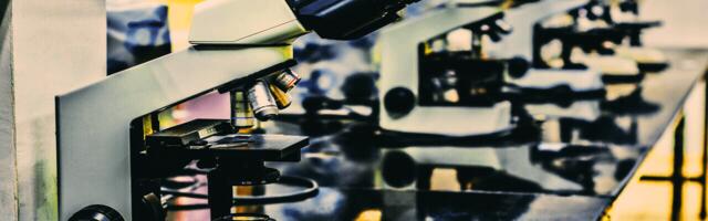 BASF's Chemovator welcomes startups into its business incubator