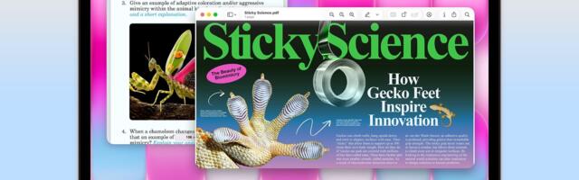 7 settings to change on your new MacBook Neo that will get it up and running in record time