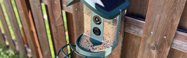 I Tested 4 Smart Bird Feeders. These Ones Stood Out From the Flock