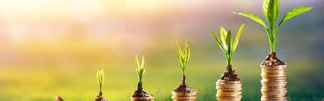 Growing Your Seeds: Practical Tips for Getting Your Startup From Seed to Series A