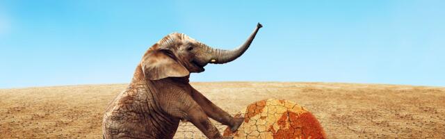 An insidious form of climate denial is festering in the Republican Party