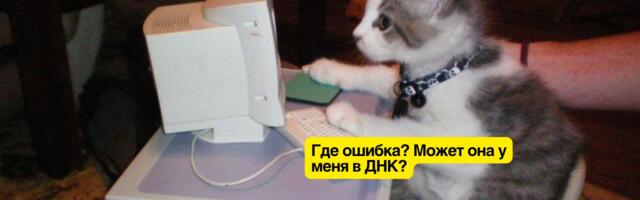 Как работают микросервисы. Сравниваю с биологией