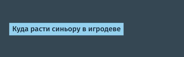 Куда расти синьору в игродеве