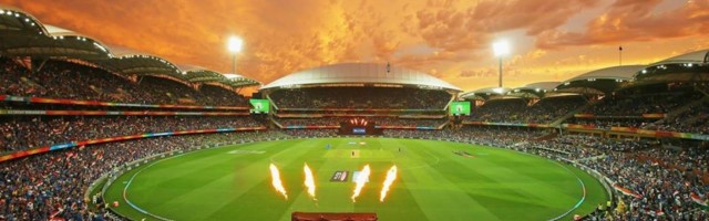 Fantasy Sports App Development Services