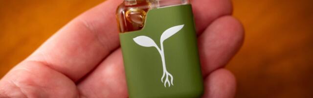 Raw Garden Sprout Review: A Smooth Disposable Vape Minus the Microplastics