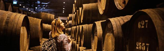French startup Winalist secures €1 million to boost wine tourism and expand internationally