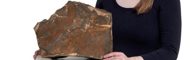 Someone paid $5.3 million for a piece of Mars