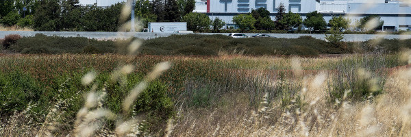 Tesla’s utility-scale batteries are coming to Texas 