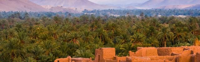 Morocco Drafts Regulations for Crypto, Central Bank Governor Says