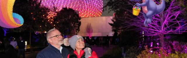 I've been to Disney World in every season. Here are 7 reasons winter is the best time of year to go.