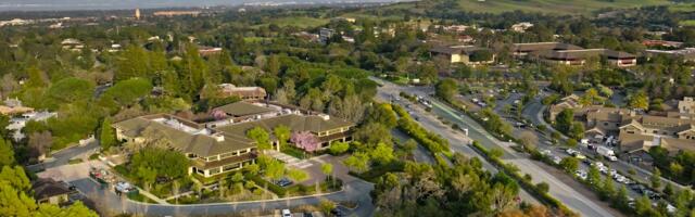 The Hot New Job in VC: Portfolio Pruner