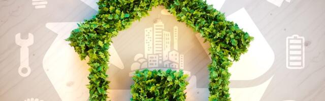 Your Cheat Sheet to Lowering Energy Bills and Creating a Greener Home