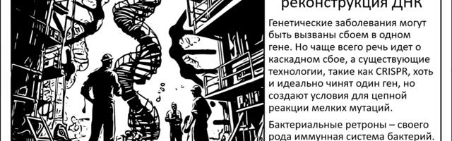 [Перевод] Бактериальные ретроны. Ключ к реконструкции нашей ДНК